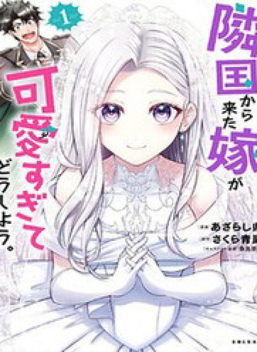 Rinkoku Kara Kita Yome Ga Kawaisugite Doushiyou