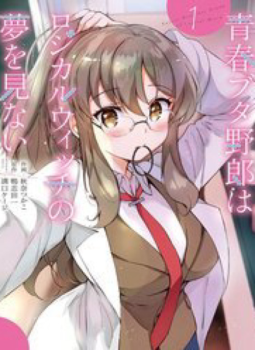 Seishun Buta Yarō Wa Rojikaru Witchi No Yume O Minai