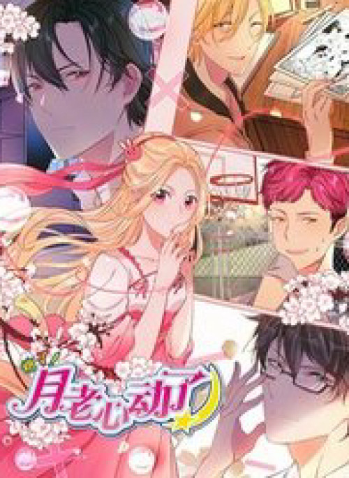 Toang Rồi! Nguyệt Lão Động Tâm Rồi